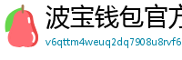 波宝钱包官方网站下载入口